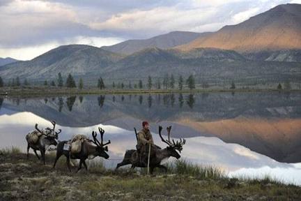 Samis et rennes au bord d`un lac